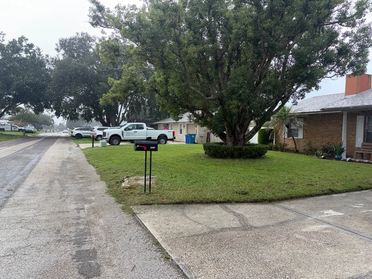 Same front lawn after mowing, with a defined edge along the sidewalk